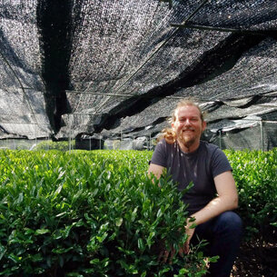 Jozef Zajac: The World of Tea is an Endless Story of Flavours and Aromas