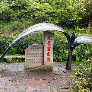 Journey to the birthplace of tea (part one)