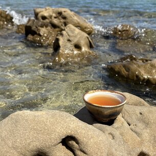 Protecting the Planet, One Cup at a Time