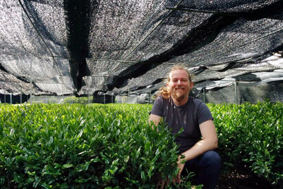 Jozef Zajac: The World of Tea is an Endless Story of Flavours and Aromas