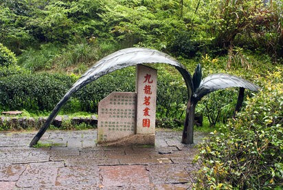 Journey to the birthplace of tea (part one)