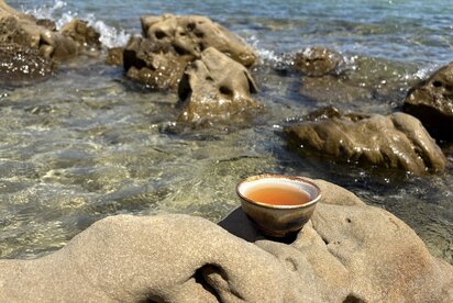 Protecting the Planet, One Cup at a Time