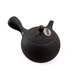Kyusu tokoname 31 - kyusu-tokoname-31