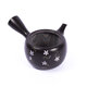 Kyusu tokoname 12 - kyusu-tokoname-12-o