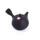 Kyusu tokoname 3 - kyusu-tokoname-3
