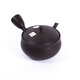 Kyusu tokoname 4 - kyusu-tokoname-4