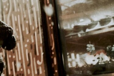 A gift that delights more than once