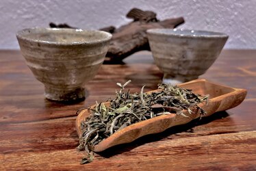 Teas from Darjeeling