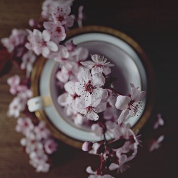 Celebrate our 23rd Birthday!