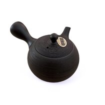 Kyusu Tokoname 31