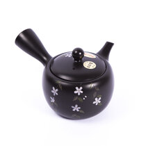 Kyusu Tokoname 12