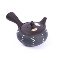 Kyusu Tokoname 16