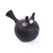 Kyusu Tokoname 23